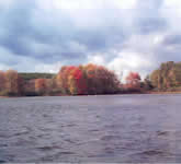 Warner's Pond Summer Autumn